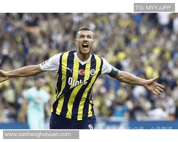 费内巴切在土超联赛中的出色表现与未来发展潜力分析