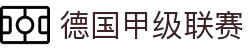 德国甲级联赛 - 德甲中文官网